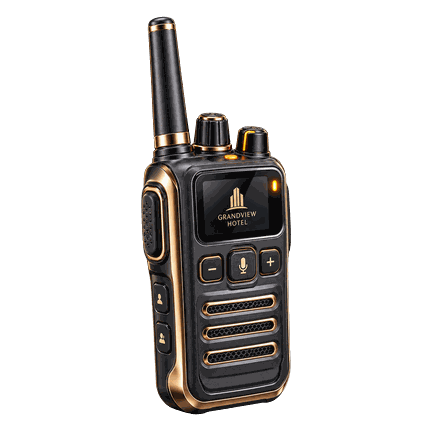 Walkie Talkie